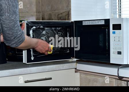 Une femme lave le four à micro-ondes avec une éponge et des détergents. Photo de haute qualité Banque D'Images