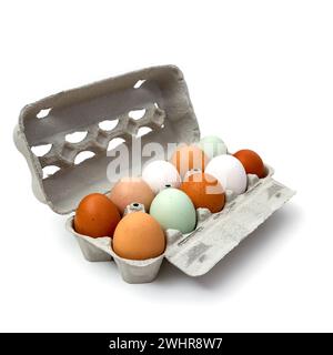 Dix oeufs de poule colorés dans la boîte de carton Banque D'Images
