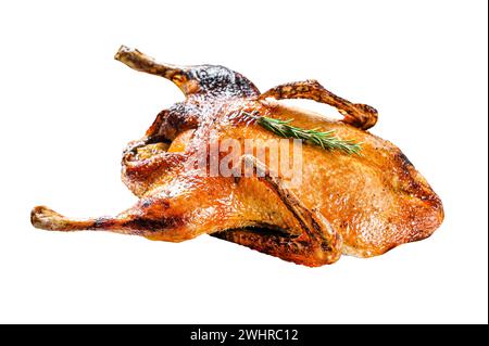 Canard cuit farci aux oranges et rosmarina. Table de fête. Isolé sur fond blanc. Vue de dessus Banque D'Images