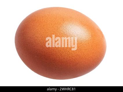 Gros plan d'un seul œuf de poule brun isolé sur un fond blanc, mettant en valeur la simplicité dans la photographie culinaire. Banque D'Images