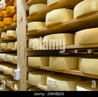 Les têtes de fromage rondes dans la fromagerie reposent sur les étagères des étagères dans le stockage pour la maturation. Production de ch. naturel Banque D'Images