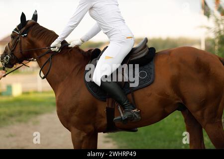 Femme cavalier jockey dans le casque et uniforme blanc préparant les courses de chevaux. Banque D'Images