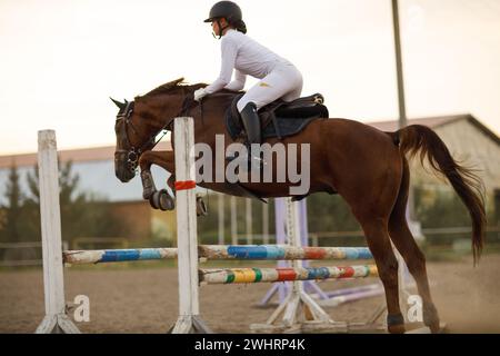 Cheval de dressage et cavalier en uniforme pendant la compétition de saut équestre. Banque D'Images