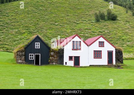 Maisons rurales islandaises typiques Banque D'Images