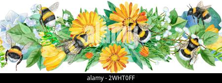 Bordure florale sans couture avec bourdons et fleurs de calendula sur fond blanc. Conception artistique pour impression florale pour emballage, textile, papier peint, Banque D'Images