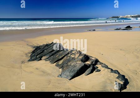 Plage de surf Playa Piedra, El Cotillo, Fuerteventura, Îles Canaries, Espagne. Banque D'Images