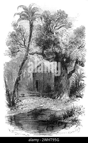 Le Temple du serpent, ou Temple Python, à Ouidah ou Whydah dans l'ancien Royaume du Dahomey (1600-1904) aujourd'hui la République du Bénin Afrique de l'Ouest où les croyants adorent une divinité serpent connue sous le nom de Dangbe ou Danh-gbi. Oiudah est connu comme un centre principal du vaudou vaudou ouest-africain. Gravure vintage ou historique ou illustration 1863 Banque D'Images