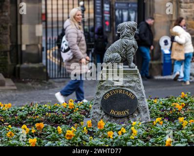 Statue de chien Bobby de Greyfriar, Greyfriar's Kirkyard, Édimbourg, Écosse, Royaume-Uni Banque D'Images