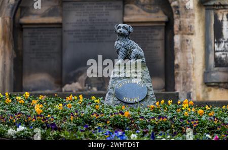 Statue de chien Bobby de Greyfriar dans le kirkyard de Greyfriar, Édimbourg, Écosse, Royaume-Uni Banque D'Images