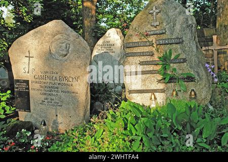 Cimetière historique, fragment, Zakopane, Pologne Banque D'Images