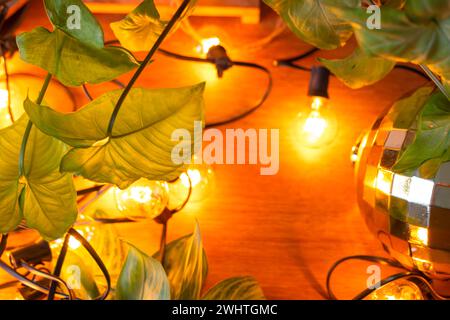 Fond en bois avec des lampes de guirlande et des feuilles vertes d'une plante en pot à la maison et une boule brillante. Cadre avec une plante de Noël Banque D'Images