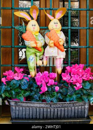 Fenêtre d'une maison à Majorque Espagne décorée de lapins de Pâques et d'une boîte de fenêtre remplie de fleurs de cyclamen rose Banque D'Images