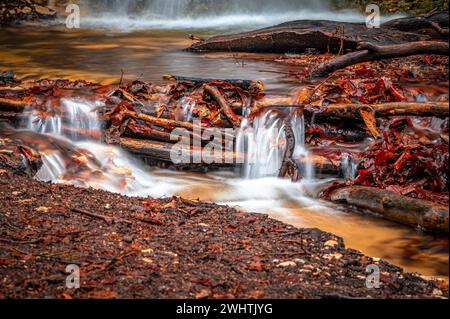 La cascade dans la forêt de Rautal à Burschenplatz en hiver, Iéna, Thuringe, Allemagne Banque D'Images