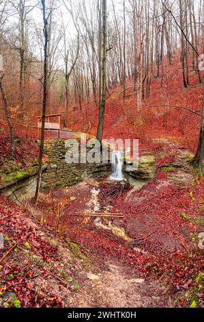 La cascade dans la forêt de Rautal à Burschenplatz en hiver, Iéna, Thuringe, Allemagne Banque D'Images