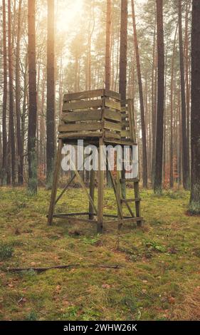 Photo d'un stand de chasse au cerf dans une forêt. Banque D'Images