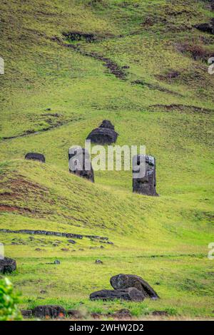 Moais dans la carrière de Rano Raraku, à Rapa Nui, île de Pâques Banque D'Images