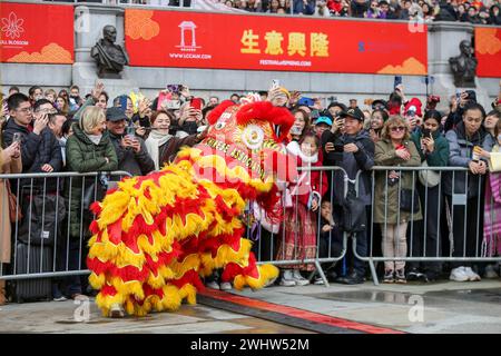 Londres, Royaume-Uni. 11 février 2024. Chen Brothers rencontre des membres du public après la danse du lion et du dragon lors des célébrations du nouvel an chinois à Trafalgar Square dans le centre de Londres. Des milliers de personnes se sont rassemblées à Trafalgar Square pour célébrer l'année du Dragon ou le nouvel an chinois. Crédit : SOPA images Limited/Alamy Live News Banque D'Images