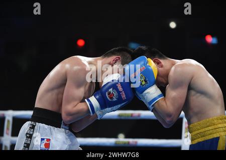 Série mondiale de boxe : Ukraine Otamans vs Russian Boxing Team Banque D'Images