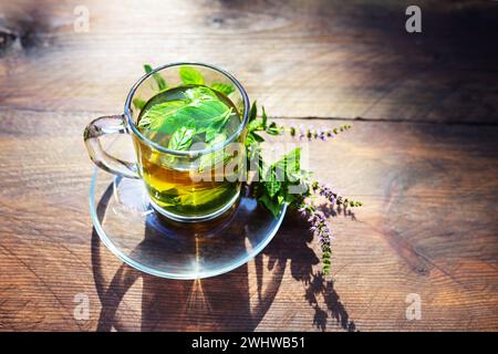 Thé à la menthe poivrée à partir de feuilles fraîches et de brindilles fleuries dans une tasse en verre, rafraîchissement et phytothérapie sur une table en bois rustique, R Banque D'Images