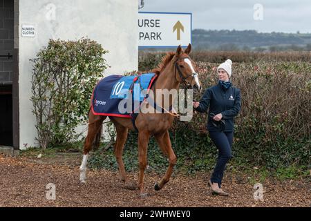 Première course à Wincanton 19 février 2022 - haie novice Banque D'Images