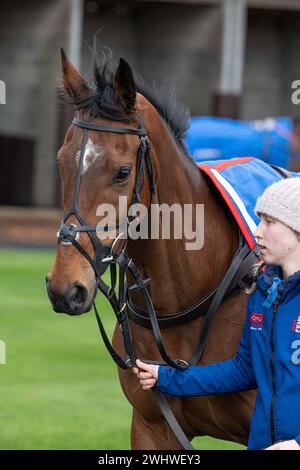 Première course à Wincanton 19 février 2022 - haie novice Banque D'Images