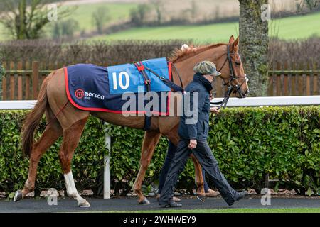 Première course à Wincanton 19 février 2022 - haie novice Banque D'Images