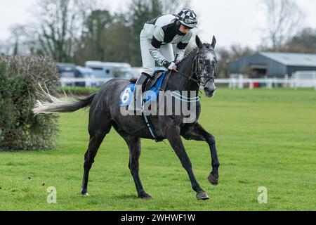 Première course à Wincanton 19 février 2022 - haie novice Banque D'Images