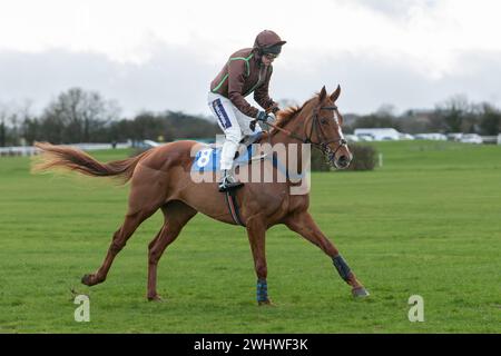 Première course à Wincanton 19 février 2022 - haie novice Banque D'Images