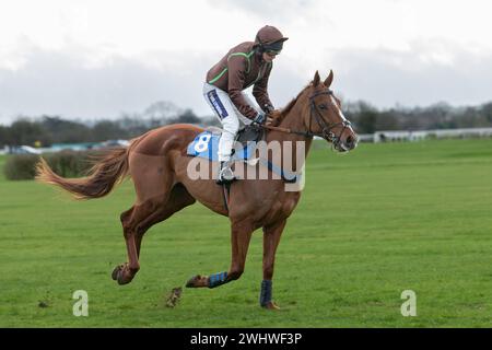 Première course à Wincanton 19 février 2022 - haie novice Banque D'Images