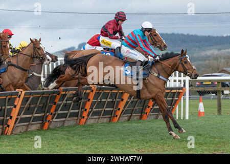 Première course à Wincanton 19 février 2022 - haie novice Banque D'Images