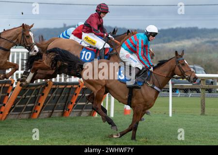 Première course à Wincanton 19 février 2022 - haie novice Banque D'Images