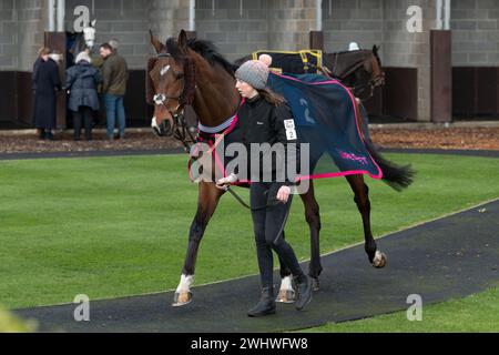 Deuxième course à Wincanton, samedi 19 février 2022, Steeple Chase Banque D'Images