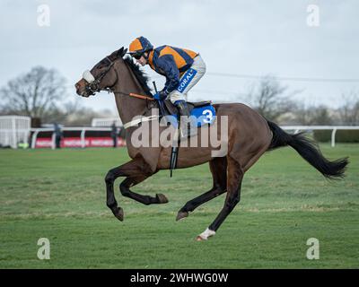 Deuxième course à Wincanton, samedi 19 février 2022, Steeple Chase Banque D'Images