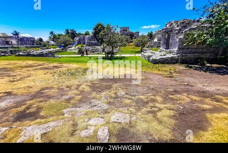 Tulum Quintana Roo Mexique 07. Août 2023 ruines antiques de Tulum site maya avec des ruines de temple pyramides et des artefacts dans la jungle tropicale naturelle Fores Banque D'Images