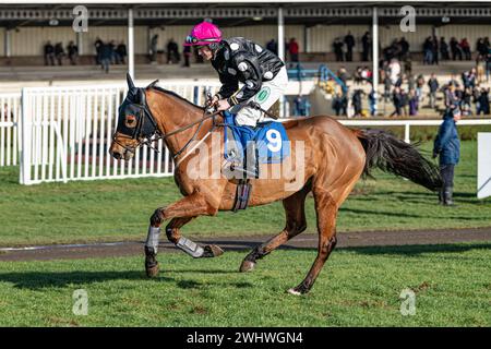 Troisième course à Wincanton 19 février 2022 - Steeple Chase Banque D'Images