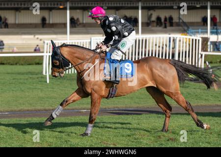 Troisième course à Wincanton 19 février 2022 - Steeple Chase Banque D'Images