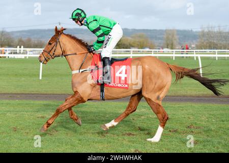 Courses de Wincanton - Kingwell Hurdle, 19 février 2022 Banque D'Images