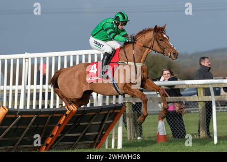 Courses de Wincanton - Kingwell Hurdle, 19 février 2022 Banque D'Images