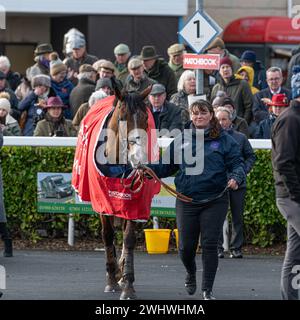 Courses de Wincanton - Kingwell Hurdle, 19 février 2022 Banque D'Images