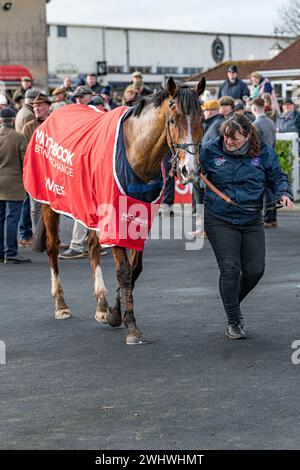 Courses de Wincanton - Kingwell Hurdle, 19 février 2022 Banque D'Images