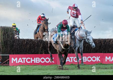 Sixième course à Wincanton - la Harry Dufosee Memorial Cup, le 19 février 2022 Banque D'Images