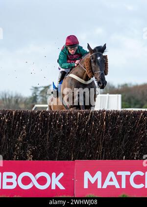 Sixième course à Wincanton - la Harry Dufosee Memorial Cup, le 19 février 2022 Banque D'Images