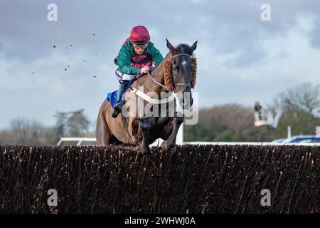 Sixième course à Wincanton - la Harry Dufosee Memorial Cup, le 19 février 2022 Banque D'Images