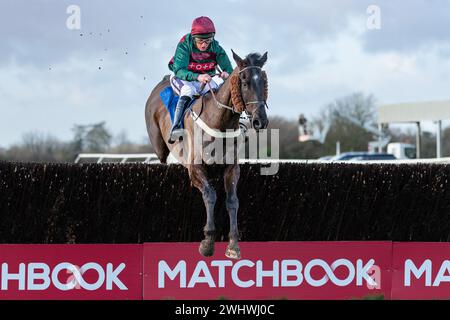 Sixième course à Wincanton - la Harry Dufosee Memorial Cup, le 19 février 2022 Banque D'Images