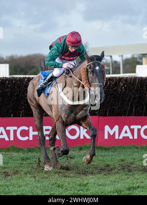 Sixième course à Wincanton - la Harry Dufosee Memorial Cup, le 19 février 2022 Banque D'Images