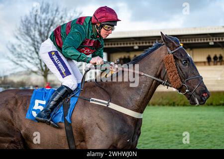 Sixième course à Wincanton - la Harry Dufosee Memorial Cup, le 19 février 2022 Banque D'Images