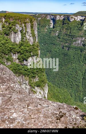 Forêt et rochers dans le canyon de Fortaleza, Cambara do Sul, Rio Grande do Sul, Brésil Banque D'Images