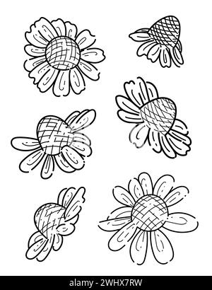 Fleur de camomille avec tige monochrome dessinée à la main pour illustration vectorielle de livre de dessin isolé sur fond blanc Illustration de Vecteur