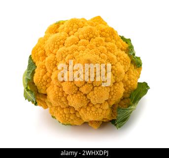 Brocoli romanesco isolé sur fond blanc Banque D'Images