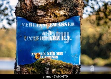 Club Waters ASV Unterharz pêche uniquement avec autorisation Bergsee Banque D'Images